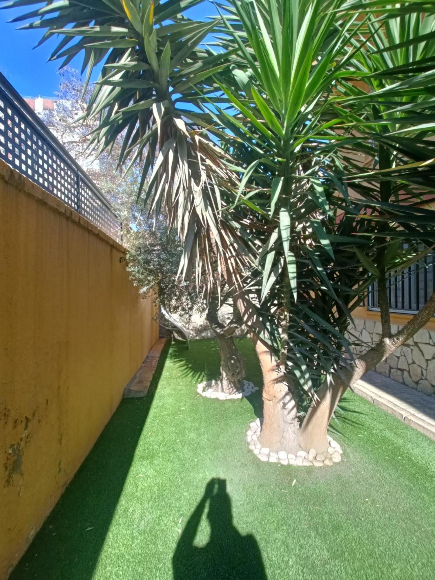 Beach&Garden Malaga Bagian luar foto